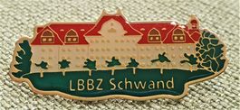 P479 - Pin LBBZ Schwand
