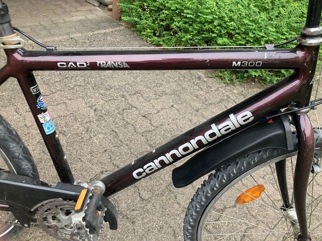 Cannondale Biciclette: Mountainbike Cannondale – Usato da Hirzel venduto da Sacha 1