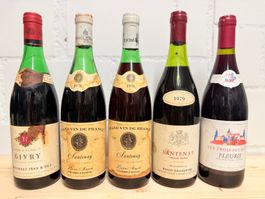 5 Santenay & Givry Burgunder 1978–2002 – Konvolut – Lot 20