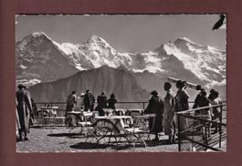 SCHYNIGE PLATTE - 1952