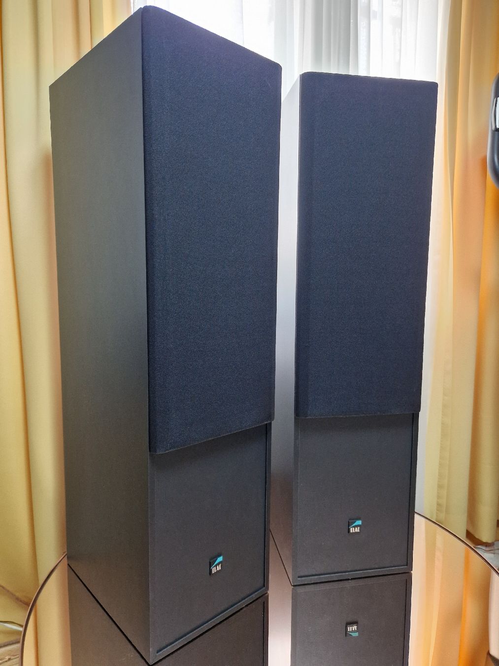 Elac Casse acustiche: Elac ELT 10 – Usato da Arbon venduto da Mayak_Sound 4