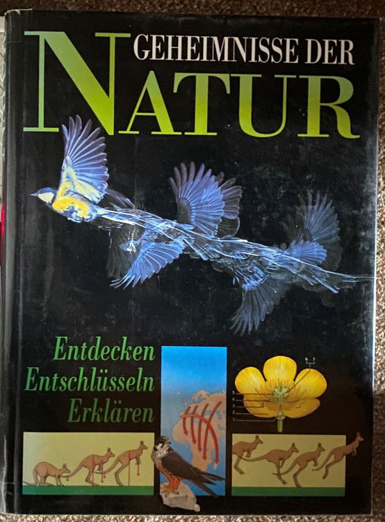 Die Senne Geheimnisse Der Natur Und Ihre Offnungszeiten Wann Ist Der Beste Zeitpunkt Fur Ihren Besuch
