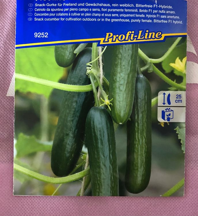 Picolino Snack Gurke 2 Stück Samen Pflanzen Blumen Kaufen auf Ricardo