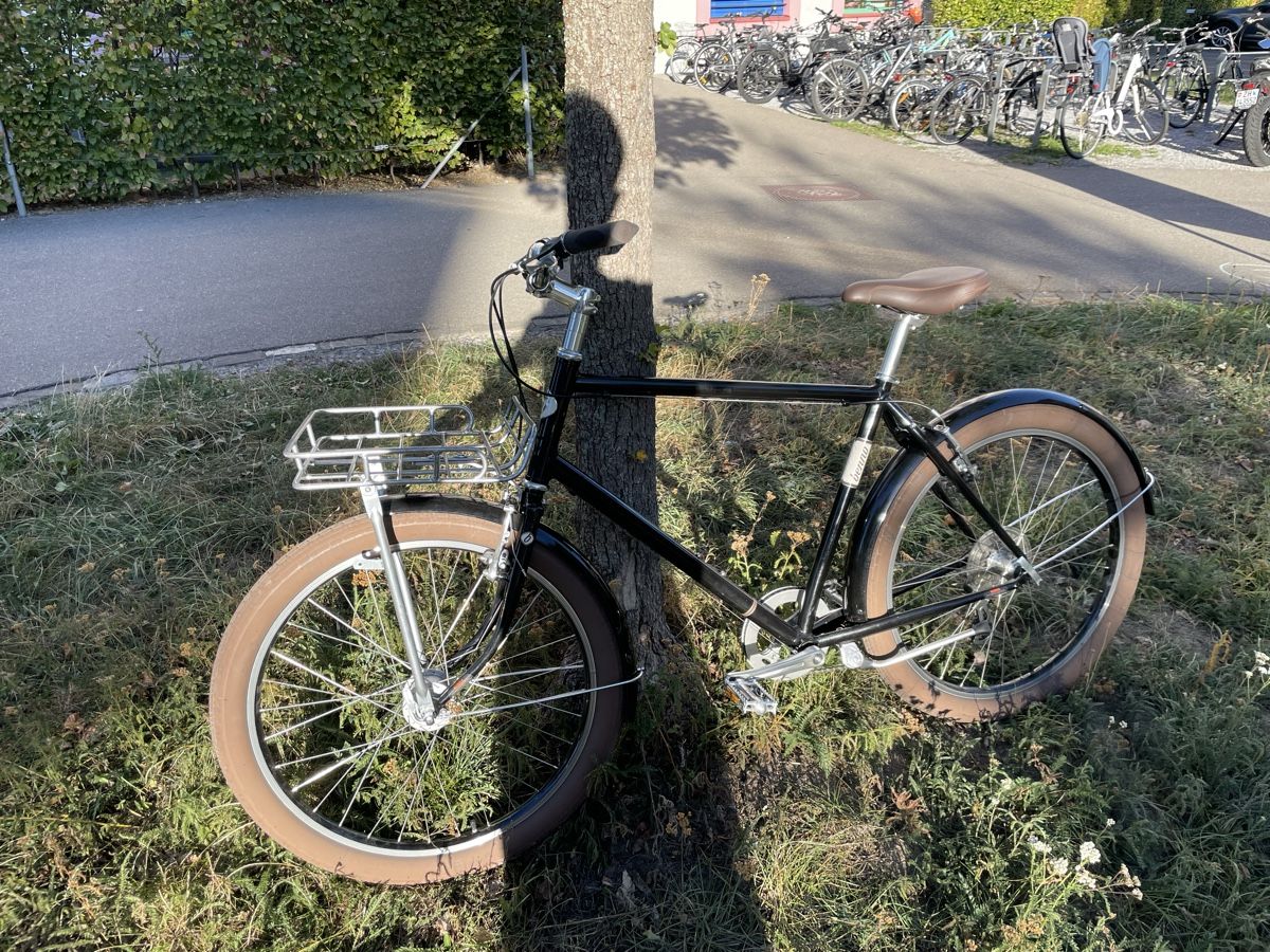 Biciclette: Fahrrad Benno – Usato da Zürich venduto da nik_927q 1