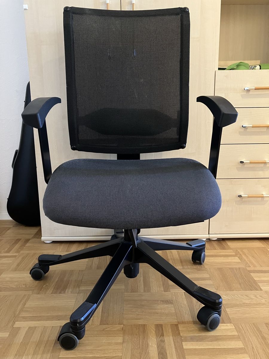 Sedie: Bürostuhl schwarz – Usato da Winterthur venduto da bwe_9hgk 1