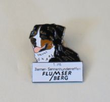 Pin/Anstecker Berner-Sennenhundtreffen Flumserberg