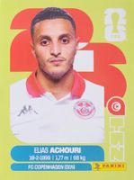 Panini FIFA World Cup TUN 15