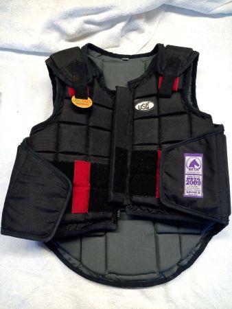 Reitsport / Rückenpanzer