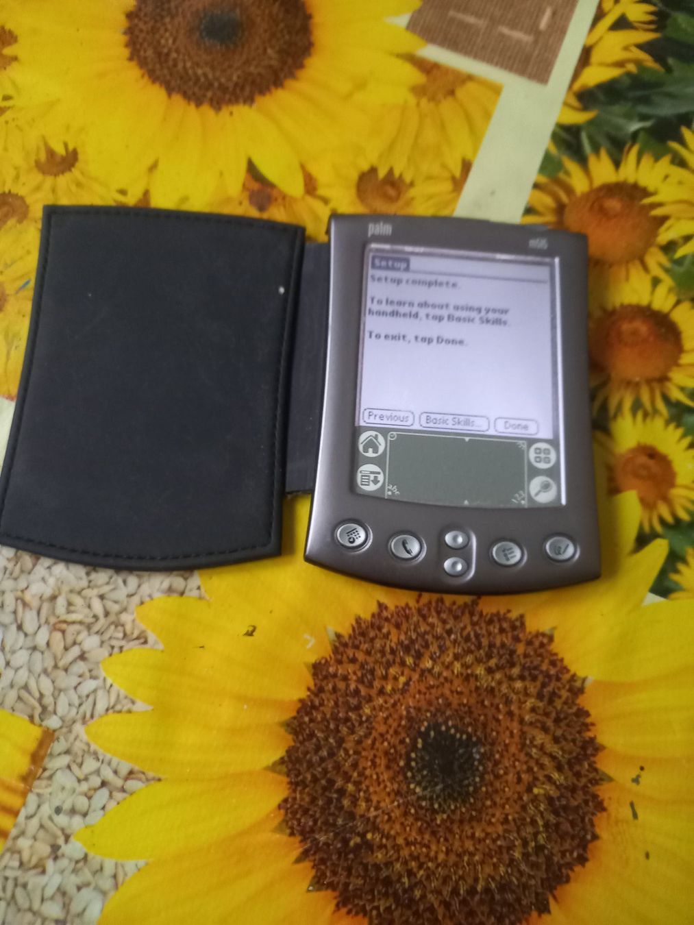 Palm Palmari: palm m515 powered – Usato da Wohlen AG venduto da poliziotto008