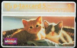 Taxcard 403L_52845 Whiskas 2 Katzen ungebraucht