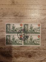 Pro Patria 1948 Grenzwächter