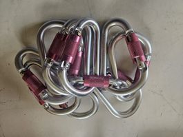 I-SOPER Karabiner Set 10 Stuck NEUWERTIG mit Schraubsicherun