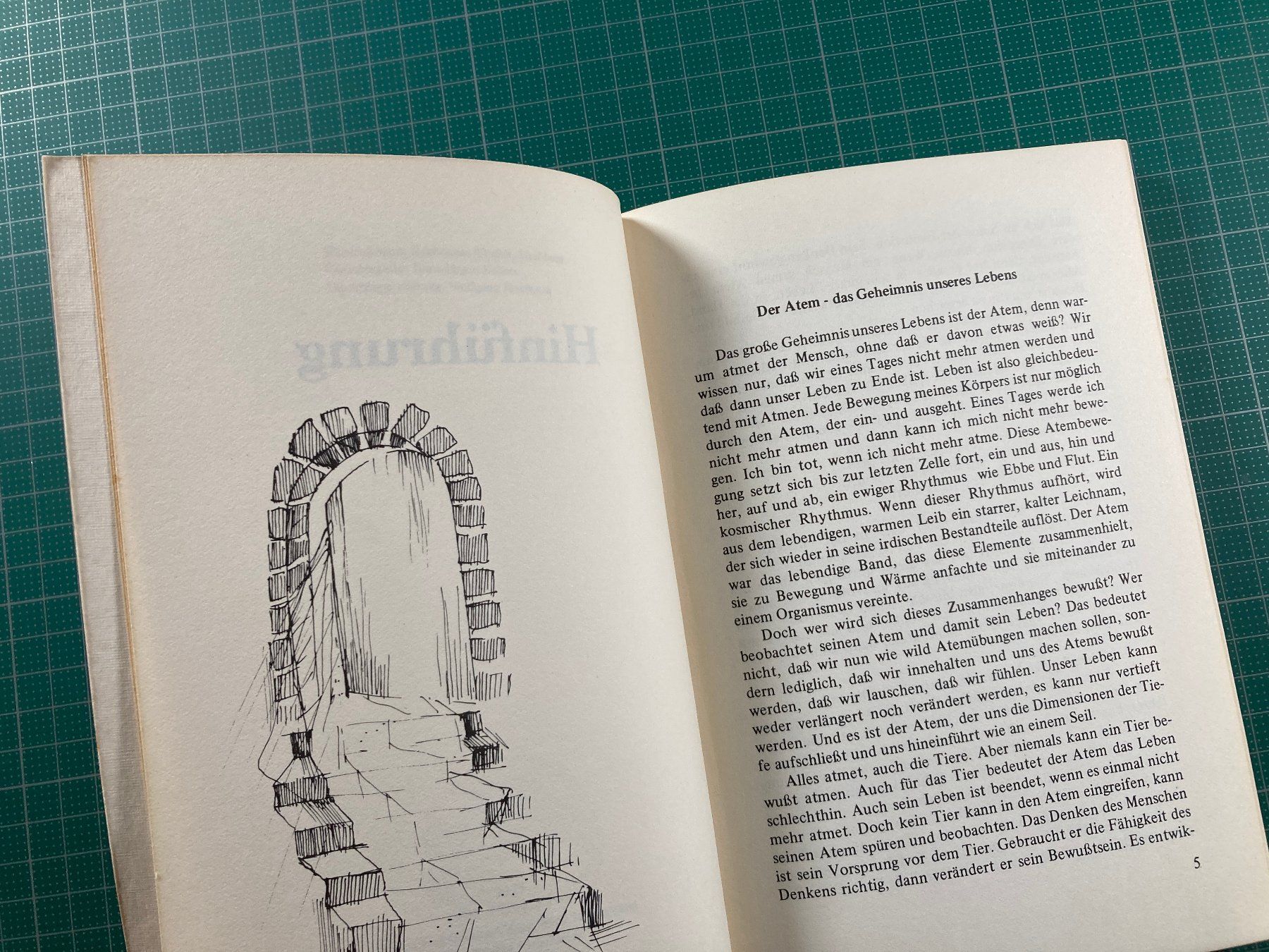 Libri: Annamaria Wadulla: Bewusst Atmen - Besser Leben – Usato da Lenzburg venduto da fh1 3