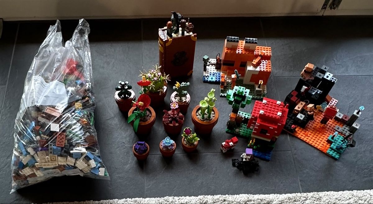 Lego Spielzeuge: Lego: Minecraft, Harry Potter, Blumen – Gebraucht aus Hemmental von Kathikag