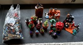 Lego: Minecraft, Harry Potter, Blumen