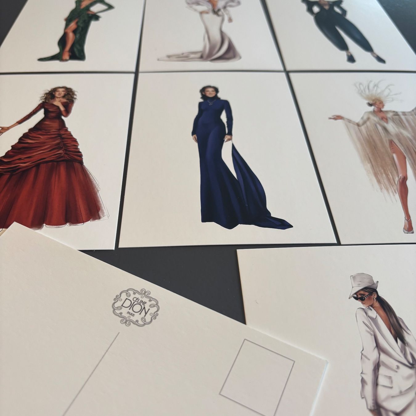 Borse: Celine Dion VIP Pack Paris 2026 – Nuovo e nell'imballaggio originale da Bolligen venduto da mae_c8ts 2