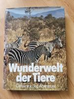 Wunderwelt der Tiere: Geheimnis und Abenteuer