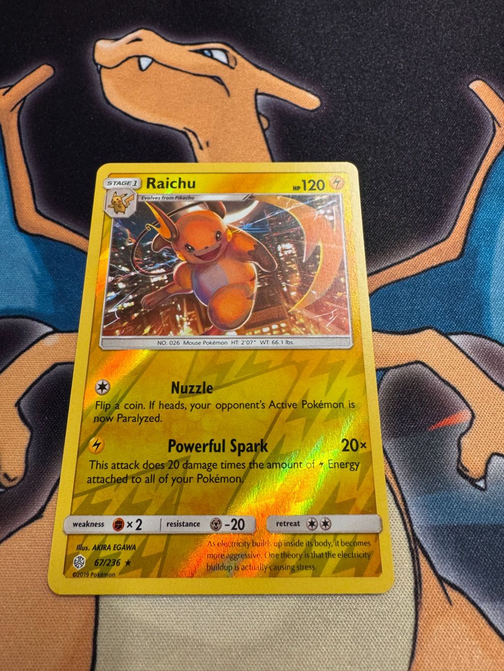 Pokémon Carte collezionabili: Raichu (CEC 67) - Reverse Holo - Cosmic Eclipse – Nuovo (secondo la descrizione) da Bülach venduto da Pfrenzel