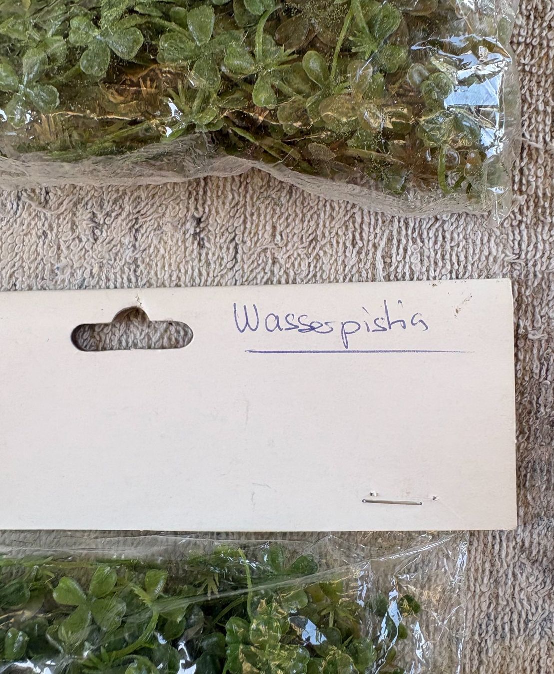 Libri: WASSERPISTIA – Nuovo e nell'imballaggio originale da Ostermundigen venduto da crazy-horse-1840 2