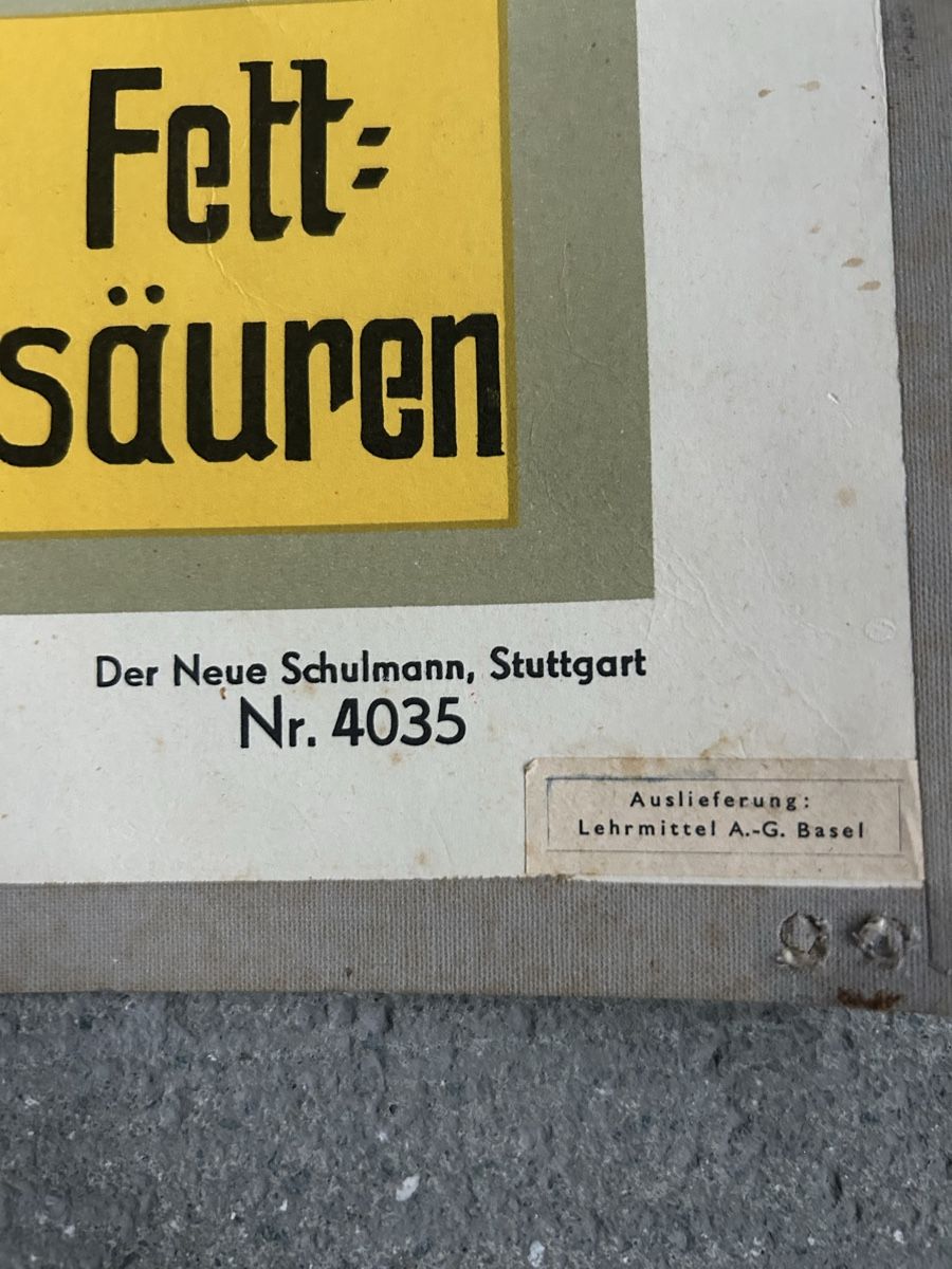 Foto & Immagini: Vintage Anatomie Schul-Plakat – Usato da zürich venduto da lis_9nv5 4