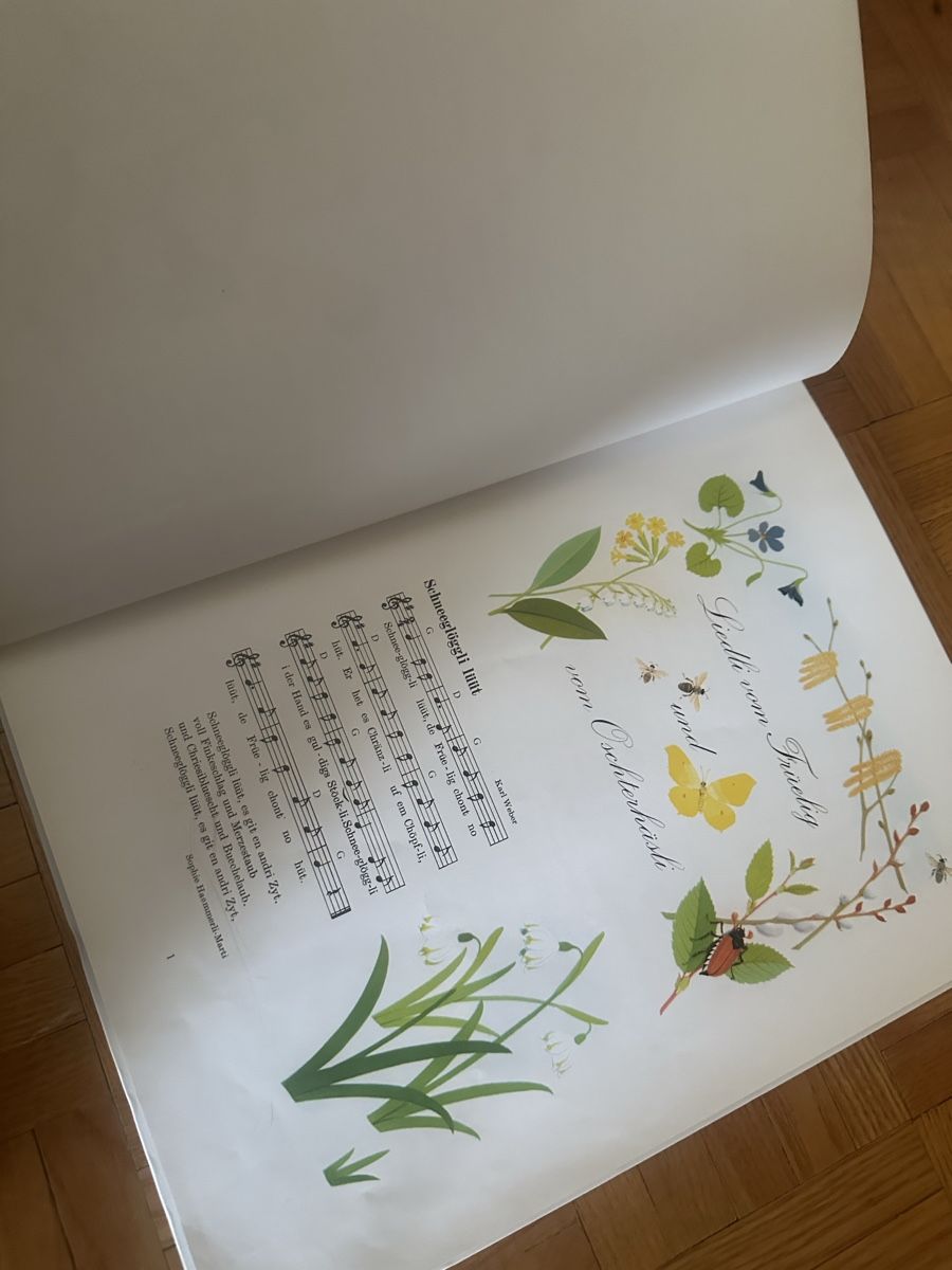 Livres: Chömed Chinde, mir wänd singe – D'occasion à Uster par bek_v2ct 2