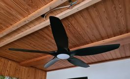 Ventilator schwarz Neu (nie gebraucht)