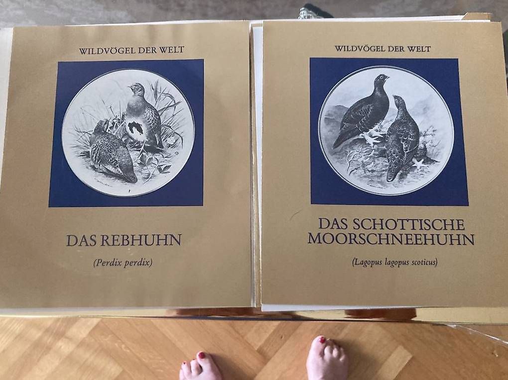 Teller: Collection 12 assiettes avec oiseaux du Monde – Gebraucht aus Greng von Cristina0112 3