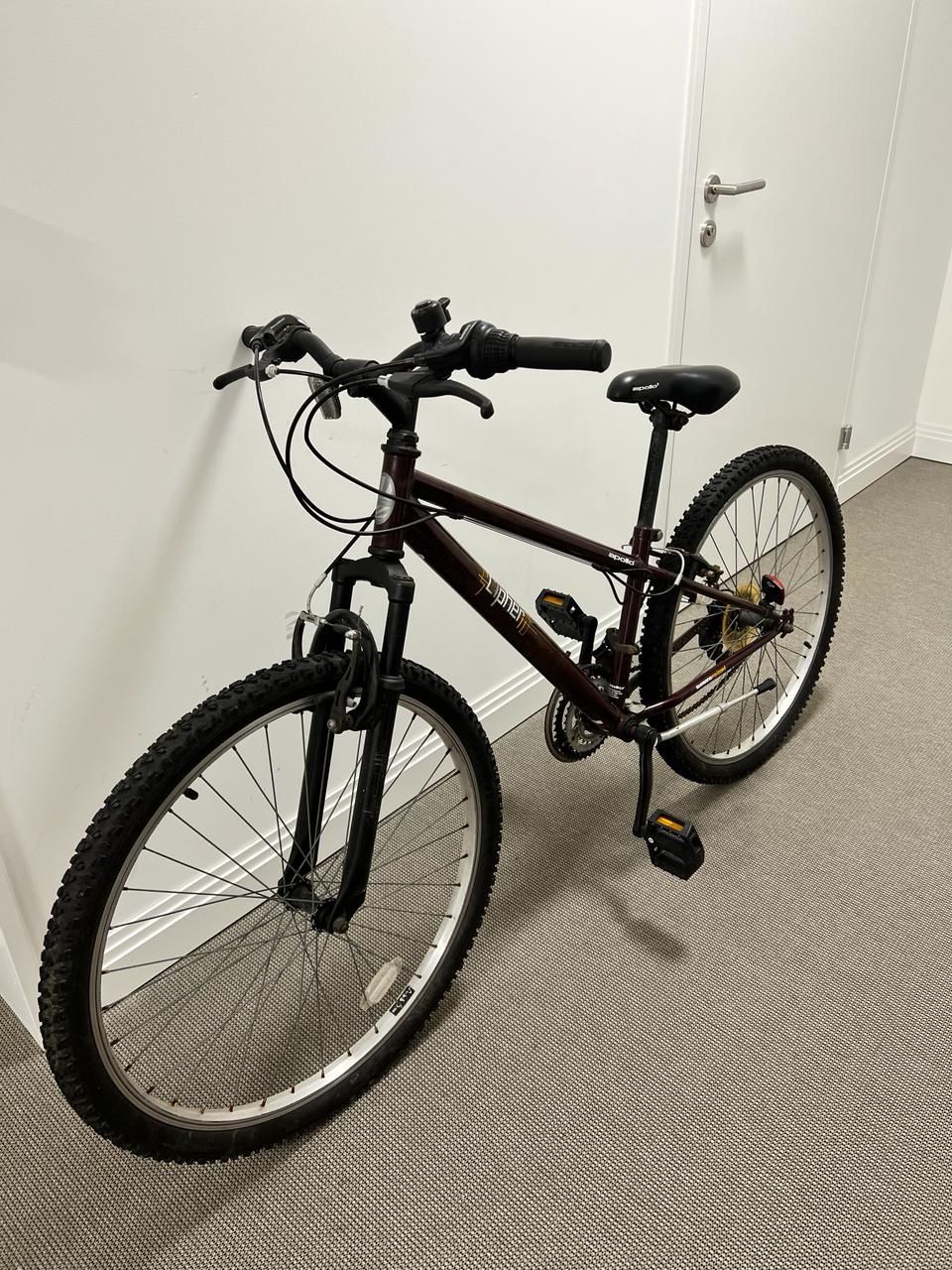 Biciclette: Apollo red wine bike – Usato da Zürich venduto da yan_h6r5