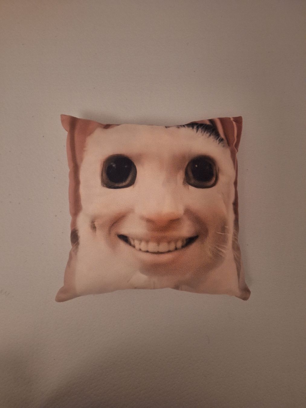 Coussins: Pillow Cat Face Square – Neuf (Voir description) à Biel/Bienne par Seyran
