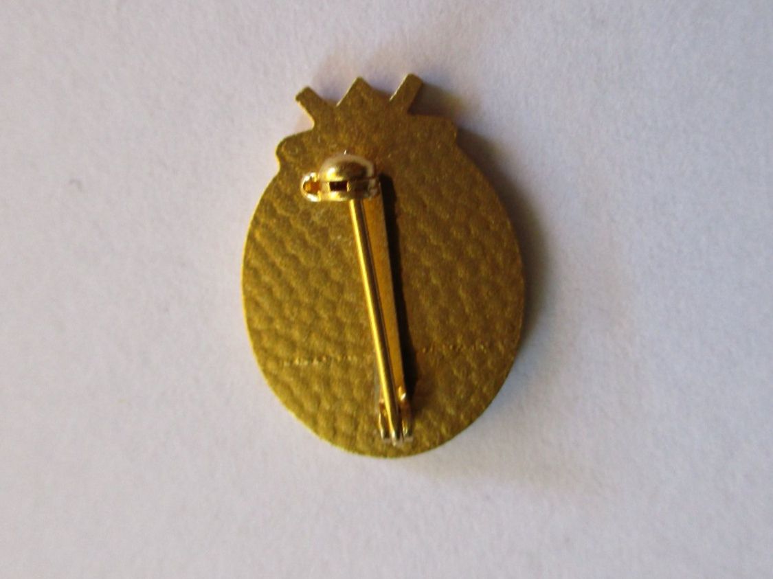 Médailles: Médaille SAC CAS – D'occasion à La Sarraz par vic_v6kz 1