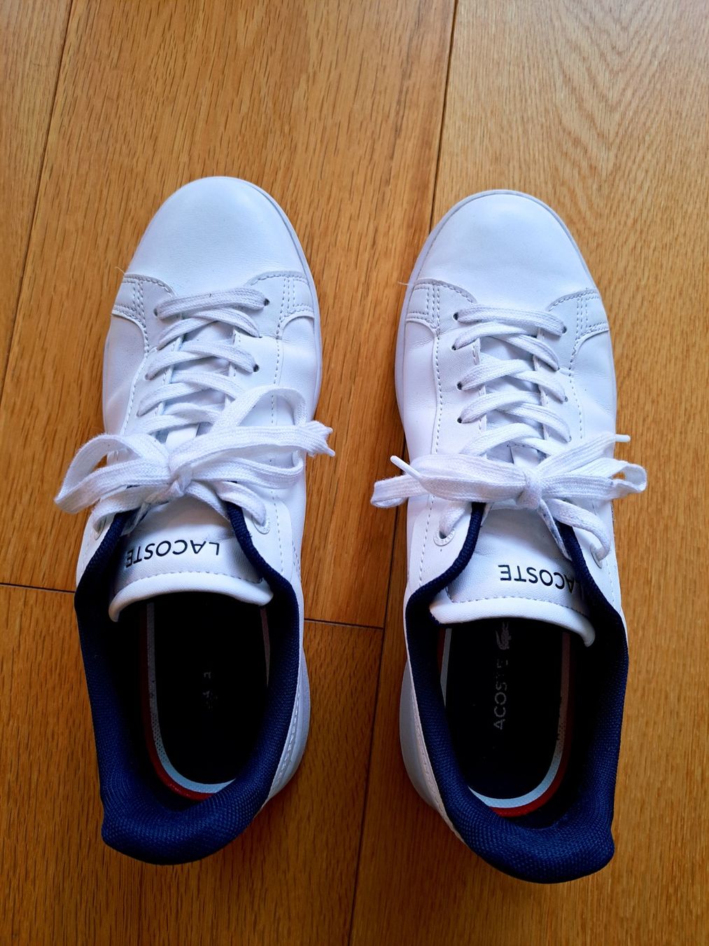 Lacoste Scarpe da donna: Sneaker von Lacoste Gr. 39 – Nuovo (secondo la descrizione) da Winterthur venduto da Klaudi15 1