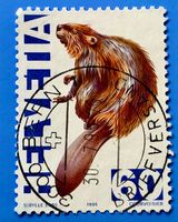 Nr.876 Europäischer Biber GESTEMPELT  Zirkuswelt 1995 Bern