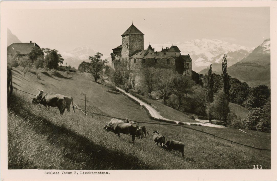 Cartoline postali: Vaduz   FL   -   Kühe beim Schloss – Usato da Brig venduto da Valcards54
