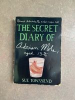 Adrian Mole Buch, Sue Townsend, Kultbuch, Top Zustand!