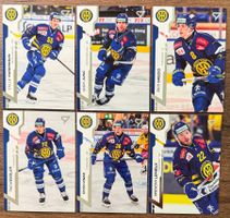Sportzoo Series 2 - HC Davos