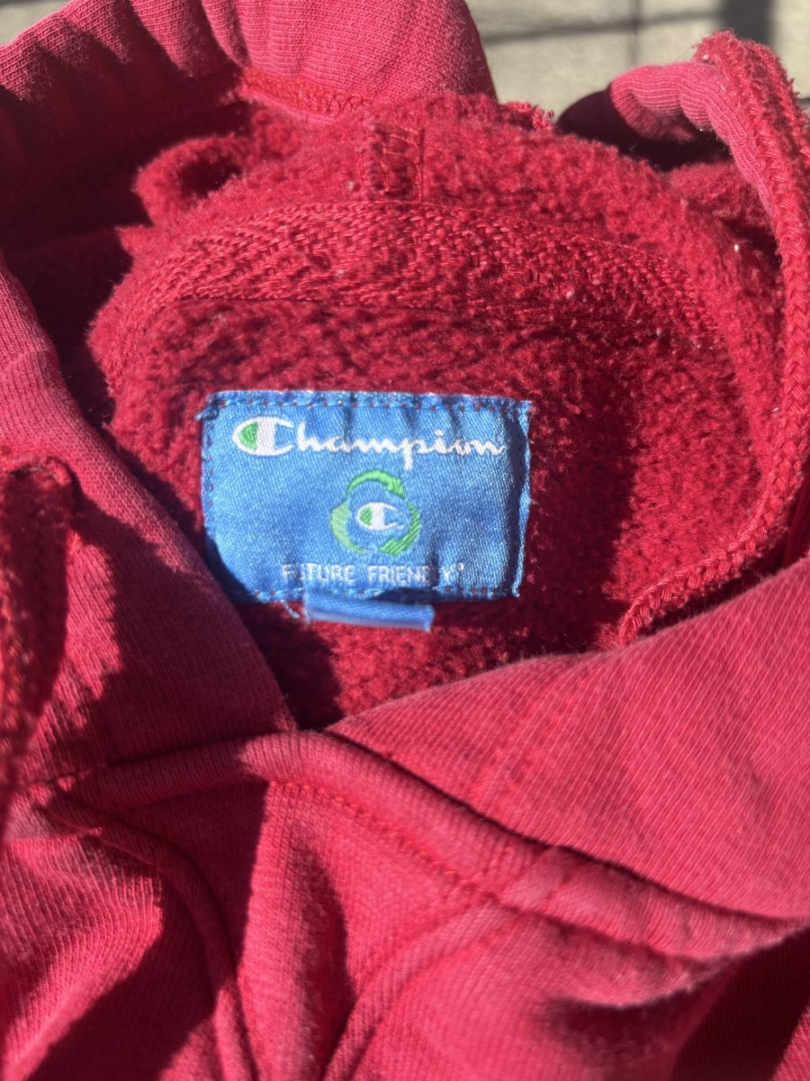 Champion Maglioni & Felpe: Original Stanford-Hoodie – Usato da Wetzikon ZH venduto da aku_gw6r 3