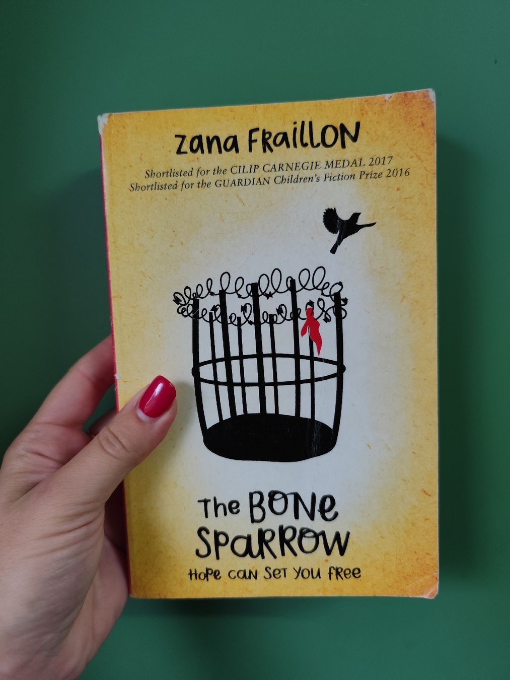 Libri: Fraillon The Bone Sparrow Book - Kids Summer Read – Usato da Mägenwil venduto da VintageGirly