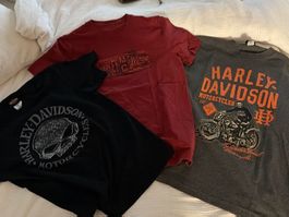3er Set Harley Davidson T-Shirts