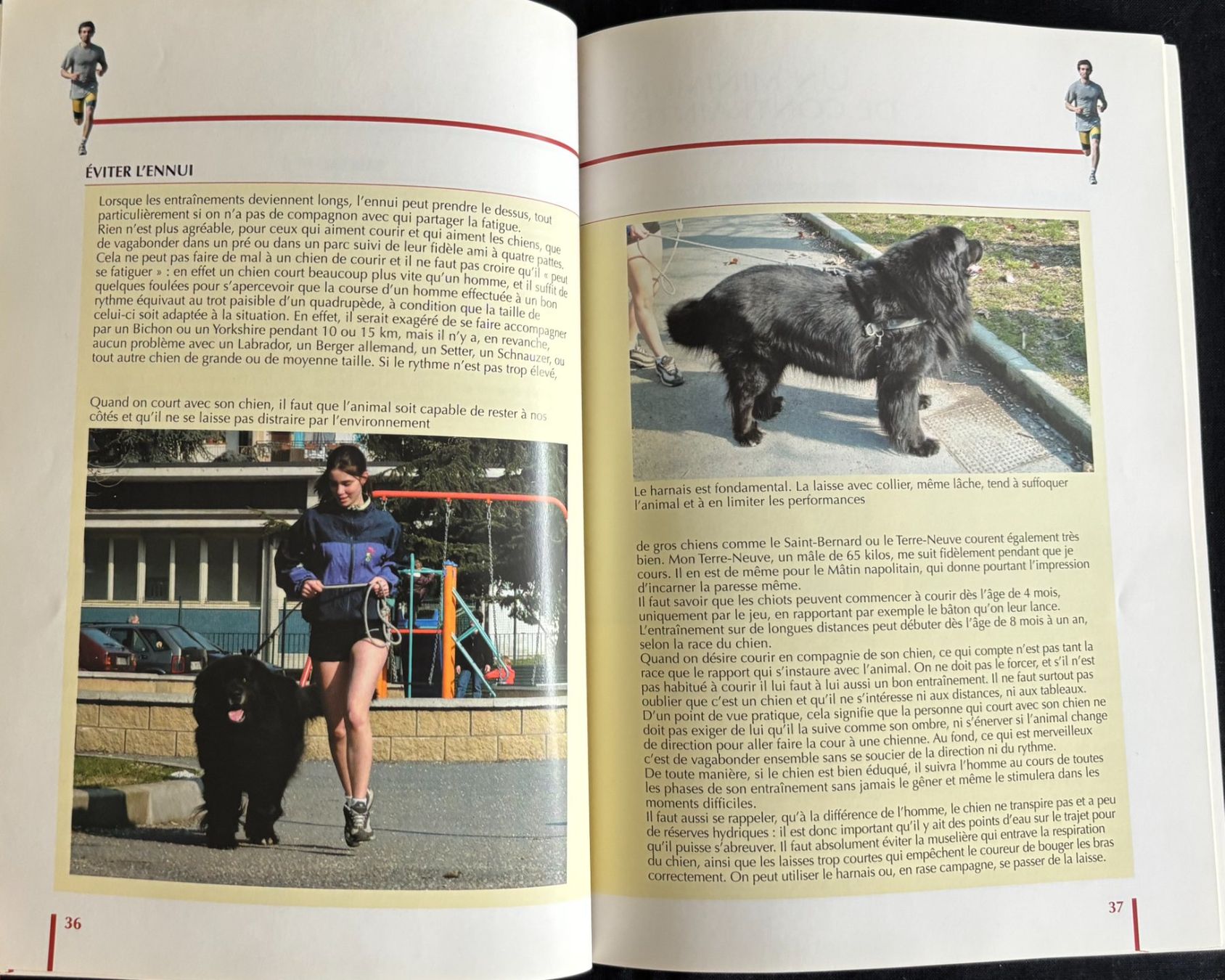 Libri: Buch - Leçon de course à pied – Usato da Rheinfelden venduto da sabine0101 3