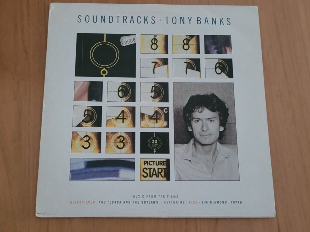 Dischi in vinile: LP  Tony Banks – Usato da Martigny venduto da MZ-67