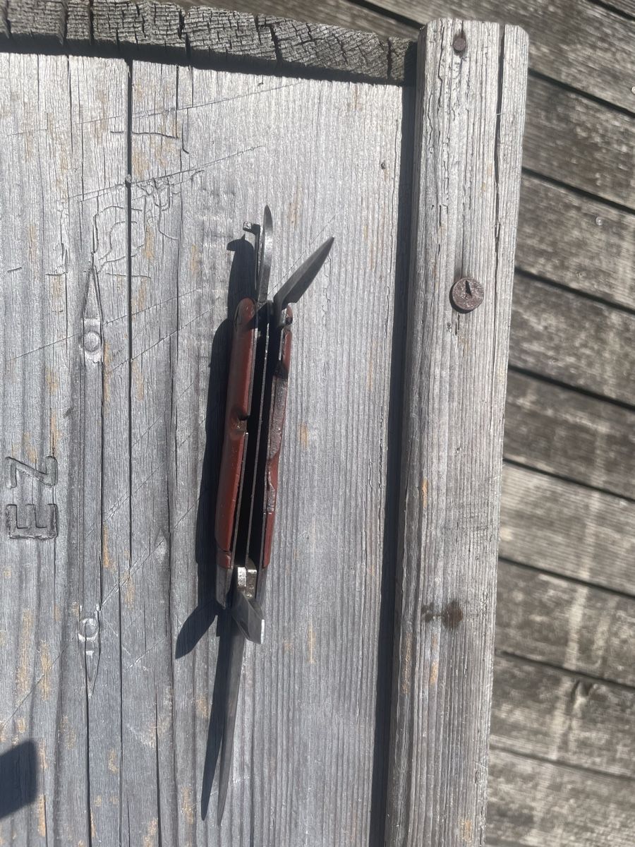 Wenger Coltelli tascabile: Sackmesser 1925 Wenger – Usato da Willisau venduto da Marcello63 2