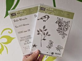 Stampin'up "Blütentraum", inkl. Stanzschablone