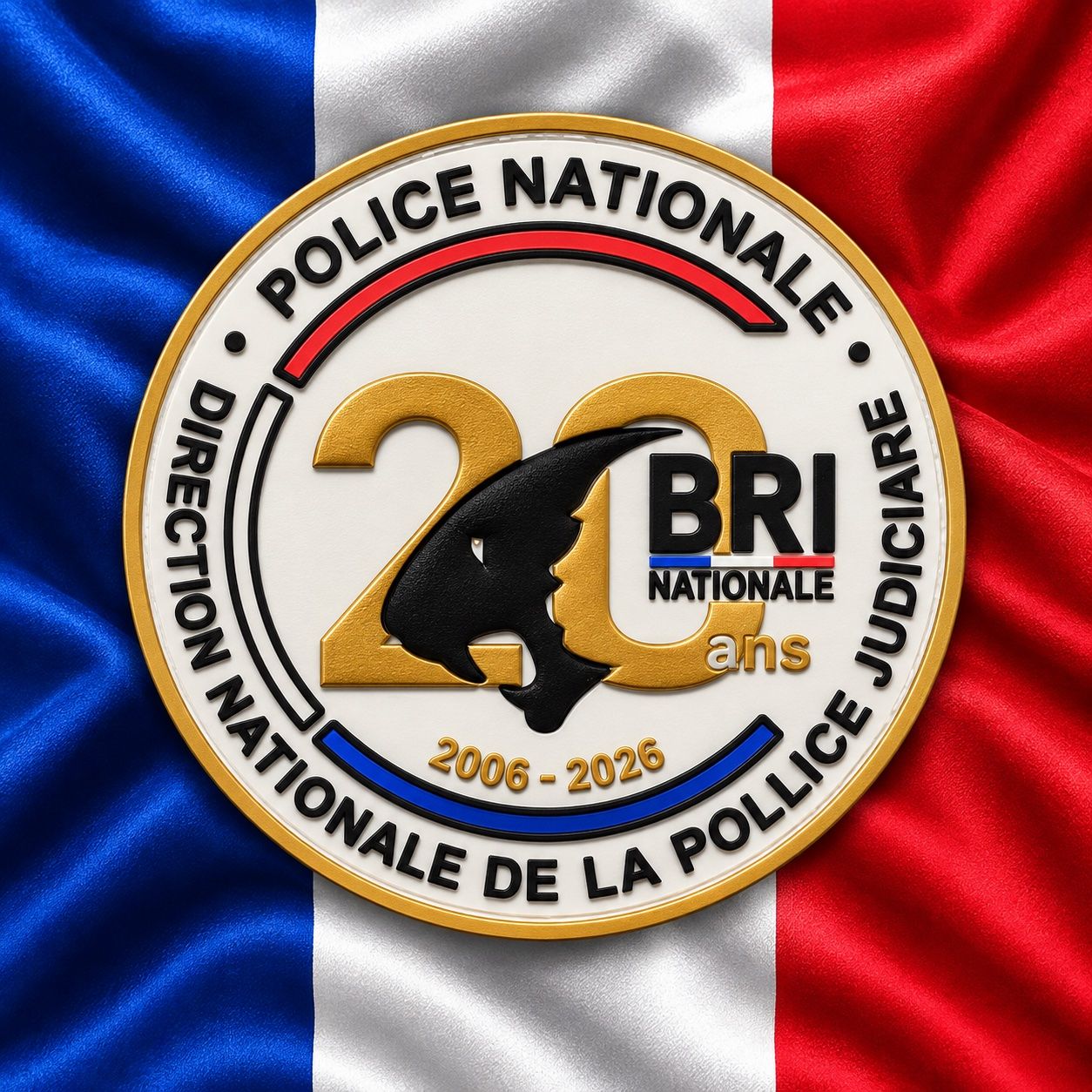 Plaketten & Abzeichen: Police Nationale BRI – Neu und originalverpackt aus Hinwil von Tschugger
