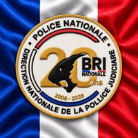 Police Nationale BRI