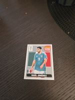 Panini  limited