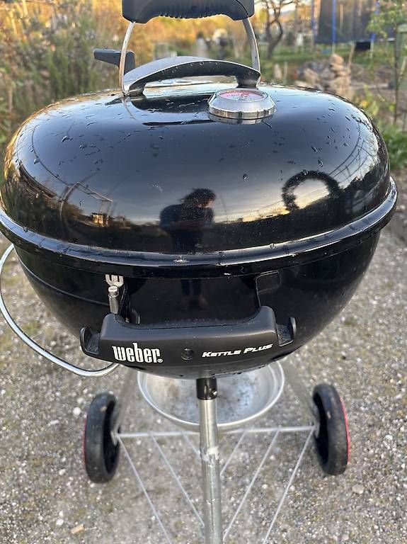 Griglie: Grill Weber – Usato da Basel venduto da meh_88mq 3
