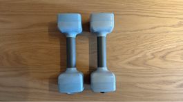Hanteln blau/grau 2 Stk. guter Zustand