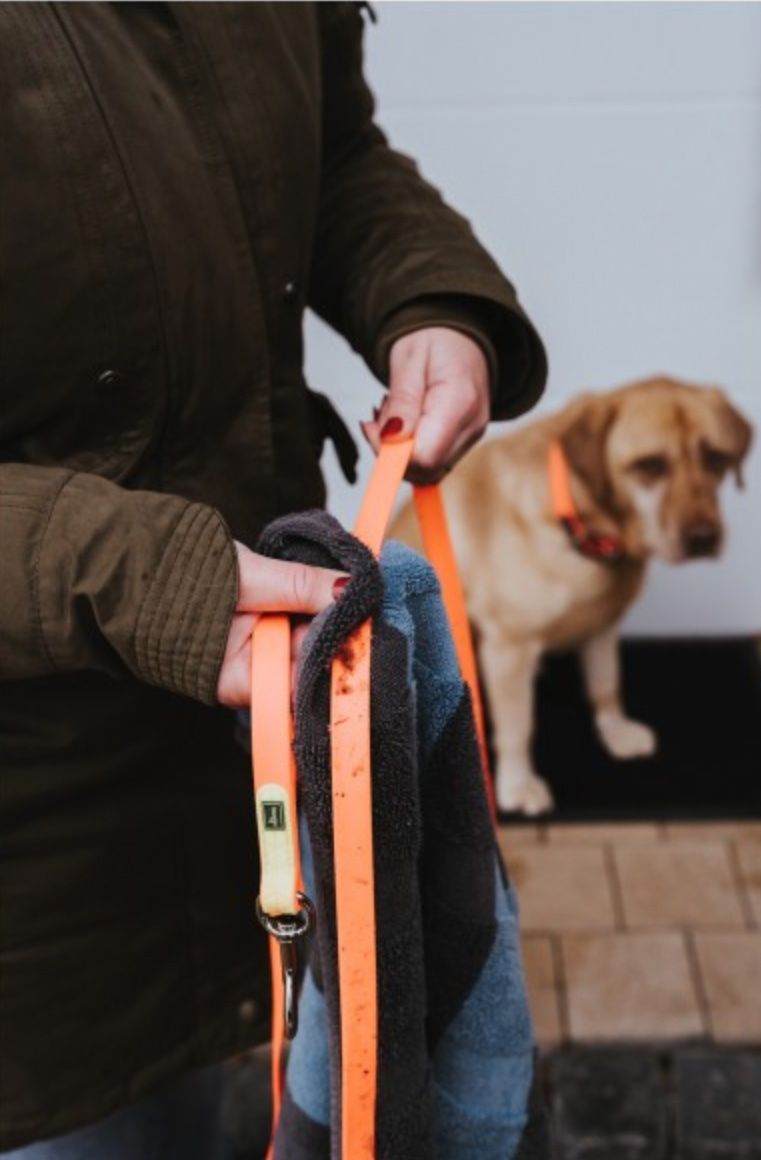 Hunter Leine & Halsband: Schleppleine – Neu (gemäss Beschreibung) aus Bülach von hel_cn52 1