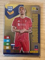 Panini FIFA 365 Adrenalyn XL 2027 Virgil Van Dijk