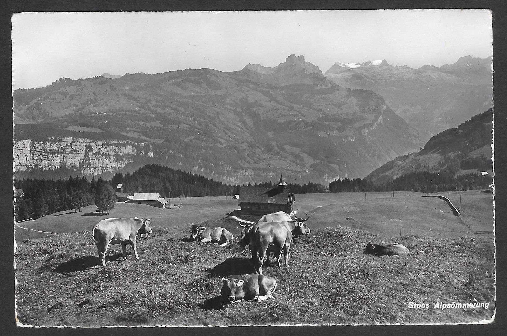 Cartoline postali: Stoos Alpsömmerung – Usato da Olten venduto da clotaldi